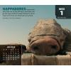 image2025 Star Wars Saga DayataTime Box Calendar