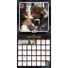 image2025 Star Wars Saga Wall Calendar