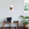 imageTrends International Star Wars Saga  Boba Fett Black And Orange Wall Poster 22375quot x 34quot Premium Unframed VersionPremium Unframed Version