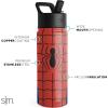 imageSimple Modern Kids Summit Water Bottle with Straw Lid  Star Wars R2D2 14oz Stainless Steel Cup Insulated Tumbler for Toddlers Boys School  R2D2MarvelSpider Armor