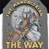 imageSTAR WARS The Mandalorian Darth Vader Chewbacca Stormtrooper 3 Pack TShirts Infant to Big KidMandolorian  the Child