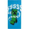 Blue - Minecraft 01
