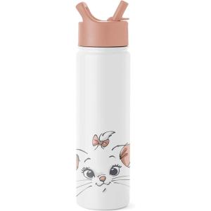 imageSimple Modern Disney Mickey Mouse Water Bottle with Straw Lid Vacuum Insulated Stainless Steel Metal Thermos  Gifts for Women Men Reusable Leak Proof Flask  Summit Collection  32oz Iconic MickeyDisney Aristocats