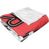 imageNorthwest Star Wars Silk Touch Throw Blanket 50quot x 60quot Art DecoPop Art Trooper