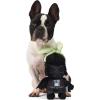 imageStar Wars 2PC Easter 6quot Stormtrooper ampamp Darth Vader Squeaker Pet Toys Set of Two Plush Squeaker Easter  Pair Toys for Dogs Easter Stuffed Darth Vader ampamp StormtrooperDarth Vader Bunny