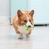 imageSTAR WARS for Pets Plush Yoda Rope Frisbee Dog Toy  Green Fetch Toys for Dogs  Plush Dog Toy Chew Dog Toy Squeaky Dog Toy Officially Licensed fromYoda Flattie