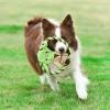 imageSTAR WARS for Pets Plush Yoda Rope Frisbee Dog Toy  Green Fetch Toys for Dogs  Plush Dog Toy Chew Dog Toy Squeaky Dog Toy Officially Licensed fromYoda Rope Frisbee