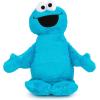 imageStar Wars Ep7 Darth Vader The Force Awakens Darth Vader Pillow BuddyBlue  Cookie Monster