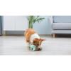 imageSTAR WARS for Pets Baby Yoda The Child in Cradle Ball Figure Dog Toy  Small Plush Toys Fabric Plush Dog Toy Squeaky Plush Toys for All DogsMulti4 InchFF15146The Child with Cookie
