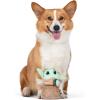 imageSTAR WARS for Pets Baby Yoda The Child in Cradle Ball Figure Dog Toy  Small Plush Toys Fabric Plush Dog Toy Squeaky Plush Toys for All DogsMulti4 InchFF15146The Child with Cookie