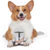 imageSTAR WARS for Pets Baby Yoda The Child in Cradle Ball Figure Dog Toy  Small Plush Toys Fabric Plush Dog Toy Squeaky Plush Toys for All DogsMulti4 InchFF15146The Mandalorian Flattie