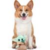 imageSTAR WARS for Pets Baby Yoda The Child in Cradle Ball Figure Dog Toy  Small Plush Toys Fabric Plush Dog Toy Squeaky Plush Toys for All DogsMulti4 InchFF15146The Child Plush Flattie