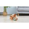 imageSTAR WARS for Pets Baby Yoda The Child in Cradle Ball Figure Dog Toy  Small Plush Toys Fabric Plush Dog Toy Squeaky Plush Toys for All DogsMulti4 InchFF15146The Child with Cookie