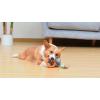 imageSTAR WARS for Pets Baby Yoda The Child in Cradle Ball Figure Dog Toy  Small Plush Toys Fabric Plush Dog Toy Squeaky Plush Toys for All DogsMulti4 InchFF15146The Child in Cradle Puppy Teether Ring Toy