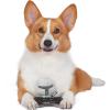 imageSTAR WARS for Pets Baby Yoda The Child in Cradle Ball Figure Dog Toy  Small Plush Toys Fabric Plush Dog Toy Squeaky Plush Toys for All DogsMulti4 InchFF15146Mando Puppy Teether Ring Toy