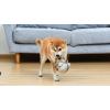 imageSTAR WARS for Pets Baby Yoda The Child in Cradle Ball Figure Dog Toy  Small Plush Toys Fabric Plush Dog Toy Squeaky Plush Toys for All DogsMulti4 InchFF15146Mando Plush Rope Head