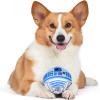 imageSTAR WARS 6quot R2D2 Plush Squeaker Toy  6 R2D2 Plush Squeaker Pet Toy  STAR WARS Toy for Dogs R2D2 Stuffed Animal 6 inch  Dog Chew Toy Squeaky Dog ToyFF19157R2D2 Ball