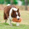 imageSTAR WARS Fetch for Pets Chewbacca Plush Figure Squeaker Dog Toy MediumChewbacca Flattie