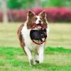 imageStar Wars Plush Darth Vader Figure Dog ToyDarth Vader Frisbee