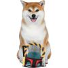imageStar Wars for Pets Boba Fett Puppy Teether Toy  Boba Fett Teething Toy for Puppies  Dog Toys Puppy Teething Toys Puppy Safe Chew Toys Dog Chew ToysBoba Fett Rope Head