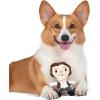 imageStar Wars for Pets LEIA Plush Dog Toy with Squeaker  The LEIA Toy for Dogs Dog Toys Squeaky Dog Toys Plush Character Style Dog Toys Dog Chew Toys  Gifts for Star Wars Fans 6 Inch FF19155Han Solo