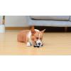 imageStar Wars for Pets LEIA Plush Dog Toy with Squeaker  The LEIA Toy for Dogs Dog Toys Squeaky Dog Toys Plush Character Style Dog Toys Dog Chew Toys  Gifts for Star Wars Fans 6 Inch FF19155Han Solo