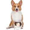 imageStar Wars for Pets LEIA Plush Dog Toy with Squeaker  The LEIA Toy for Dogs Dog Toys Squeaky Dog Toys Plush Character Style Dog Toys Dog Chew Toys  Gifts for Star Wars Fans 6 Inch FF19155Princess Leia Plush