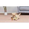 imageStar Wars for Pets LEIA Plush Dog Toy with Squeaker  The LEIA Toy for Dogs Dog Toys Squeaky Dog Toys Plush Character Style Dog Toys Dog Chew Toys  Gifts for Star Wars Fans 6 Inch FF19155Luke Skywalker