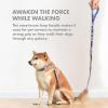 imageStar Wars for Pets R2D2 Droid 4 Foot Dog Leash  4 ft Dog Leash Easily Attaches to Any Dog Collar or Harness  R2D2 Blue Nylon Dog Leash 48 inches for All DogsMultiFF17249R2D2