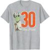 imageStar Wars Yoda 30th Birthday TShirtHeather Grey