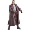 imageSTAR WARS The Vintage Collection Jod Na Nawood Skeleton Crew 375 Inch Collectible Action Figure