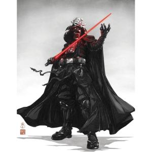 imageTrends International Star Wars Visions  Vader Wall Poster 34L x 224W Premium Unframed VersionPremium Unframed Version