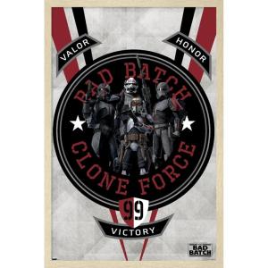 imageTrends International Star Wars The Bad Batch  Badge Wall Poster 34L x 224W Premium Unframed VersionBlonde Framed Version
