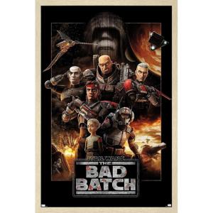 imageTrends International Star Wars The Bad Batch  One Sheet Wall Poster 34L x 224W Premium Unframed VersionBlonde Framed Version