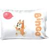 imageJay Franco Star Wars The Book of Boba Fett 1 Single Reversible Pillowcase  Kids Super Soft BeddingTeal  Bluey