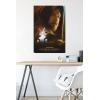 imageTrends International Star Wars ObiWan Kenobi  ObiWan Collage Wall Poster 22375quot x 34quot Premium Unframed Version