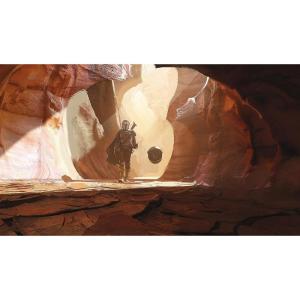 imageRoomMates Star Wars The Book Of Boba Fett Brown Peel ampamp Stick Wall Mural by RoomMates RMK12441MMandalorian Mural