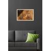 imageTrends International Star Wars Ahsoka  Painting Wall Poster 34L x 224W Premium Unframed VersionBlonde Framed Version