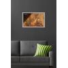 imageTrends International Star Wars Ahsoka  Painting Wall Poster 34L x 224W Premium Unframed VersionGray Framed Version