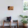 imageTrends International Star Wars Ahsoka  Painting Wall Poster 34L x 224W Premium Unframed VersionPremium Unframed Version