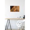 imageTrends International Star Wars Ahsoka  Painting Wall Poster 34L x 224W Premium Unframed VersionWhite Framed Version