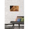 imageTrends International Star Wars Ahsoka  Painting Wall Poster 34L x 224W Premium Unframed VersionWhite Framed Version