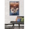 imageTrends International Star Wars Ahsoka  LothCat Wall Poster 34L x 224W Premium Unframed VersionBarnwood Framed Version
