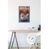 imageTrends International Star Wars Ahsoka  LothCat Wall Poster 34L x 224W Premium Unframed VersionBarnwood Framed Version