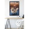 imageTrends International Star Wars Ahsoka  LothCat Wall Poster 34L x 224W Premium Unframed VersionBlack Framed Version