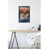 imageTrends International Star Wars Ahsoka  LothCat Wall Poster 34L x 224W Premium Unframed VersionBlack Framed Version