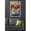 imageTrends International Star Wars Ahsoka  LothCat Wall Poster 34L x 224W Premium Unframed VersionBlonde Framed Version