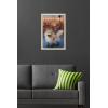 imageTrends International Star Wars Ahsoka  LothCat Wall Poster 34L x 224W Premium Unframed VersionBlonde Framed Version