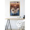 imageTrends International Star Wars Ahsoka  LothCat Wall Poster 34L x 224W Premium Unframed VersionGold Framed Version