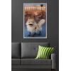 imageTrends International Star Wars Ahsoka  LothCat Wall Poster 34L x 224W Premium Unframed VersionGray Framed Version